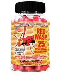 Red Wasp 
