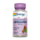 Solaray Vital Extracts Cinnamon 300 mg 60 capsules