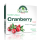 Cranberry Premium