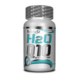 H2O Q10 